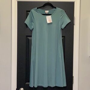 NWT Lularoe Jessie Dress w/ side pockets XS Sage Green 💎